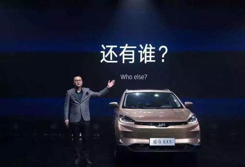 一鸣惊人国产车视频