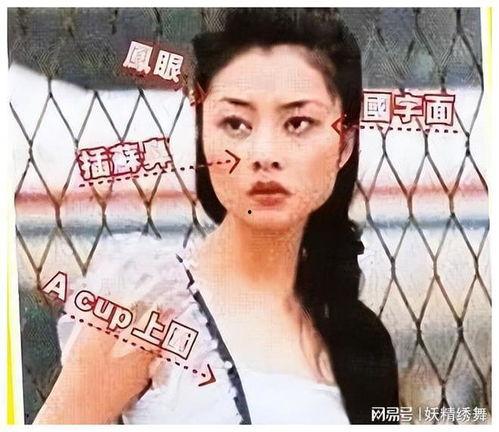 好看国产的视频明星换面,揭秘国产视频明星换面术背后的魅力