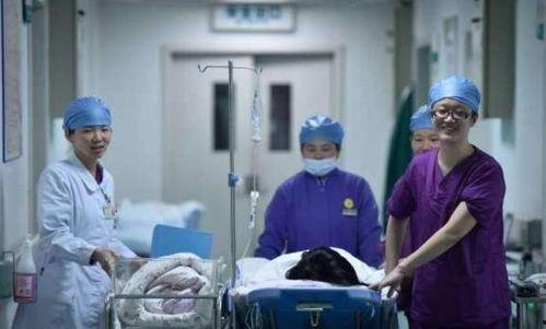 外国产房顺产过程视频播放