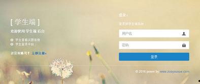 青草国产视频在线观看v2017,经典回顾与精彩瞬间