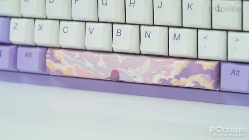 国产磁轴键盘测评视频,体验非凡打字快感