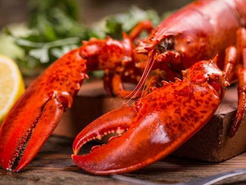 国产龙虾视频在线观看,在线观看，畅享美味时光