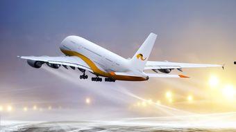 瑞士国产飞机事件视频  第2张