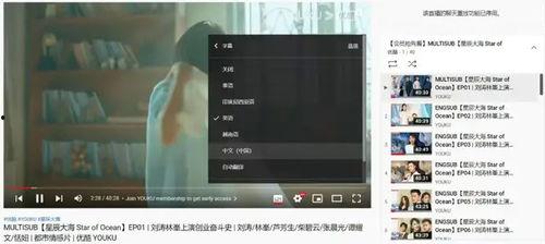 20l8在线国产视频,光影交织，情感共鸣的视听盛宴